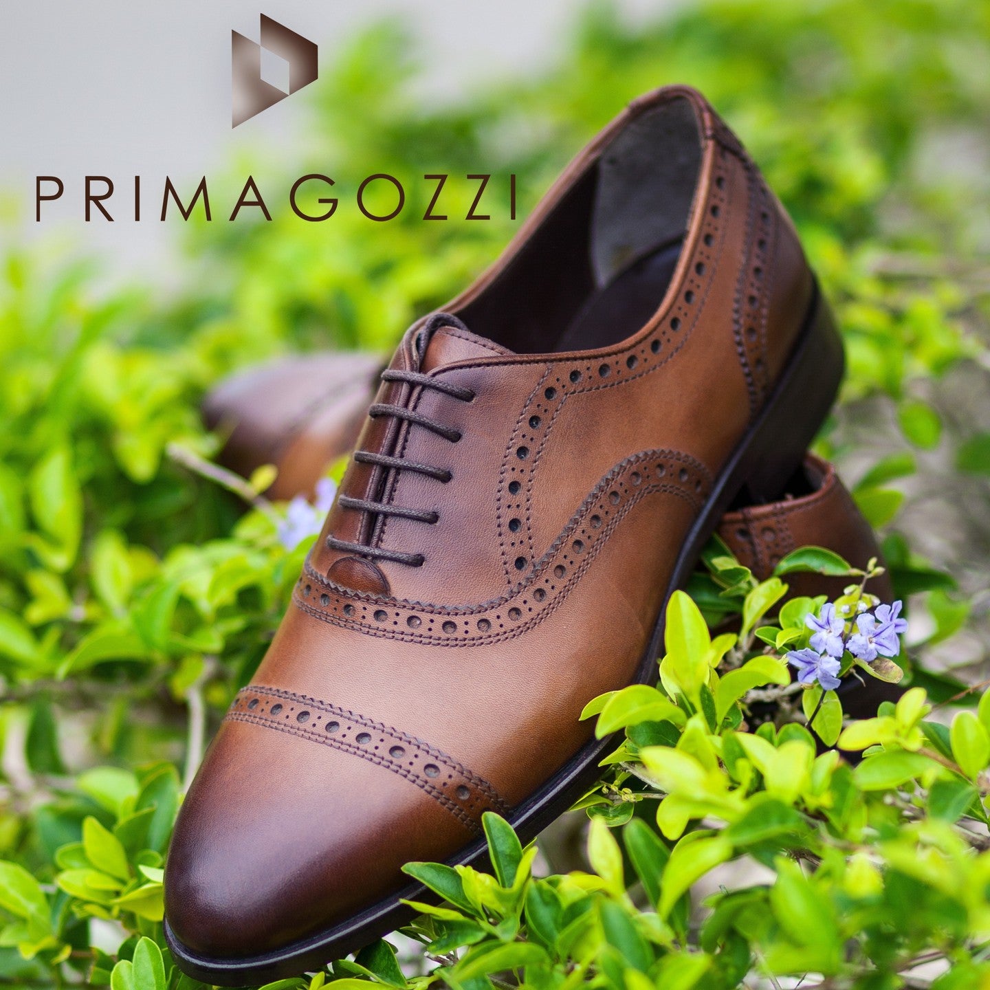 Chaussures classiques motifs